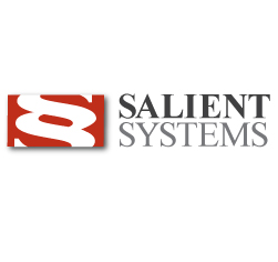 Salient Systems Logo